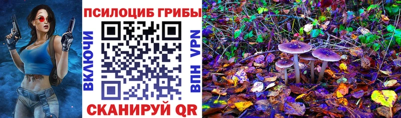 Псилоцибиновые грибы Magic Shrooms  Купить где  Колпашево 