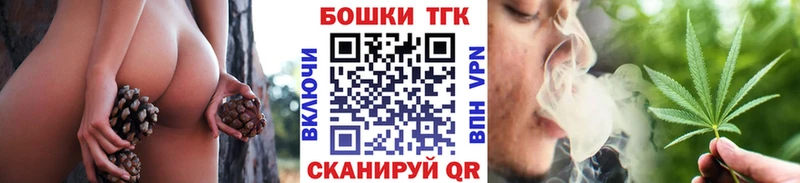 Купить закладки  Колпашево  Бошки Шишки сатива 
